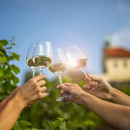 Dům V Podzámčí *