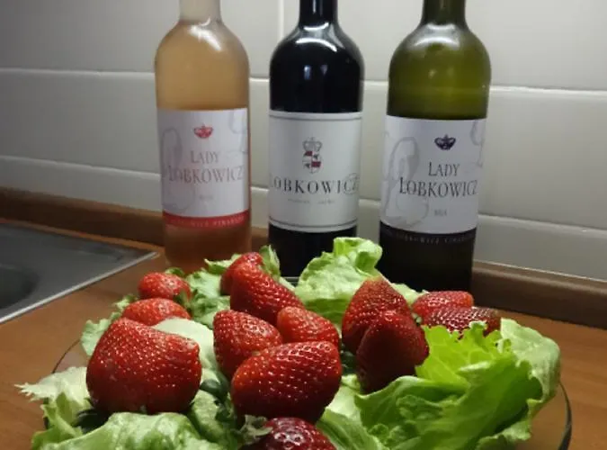 Apartament Dum V Podzamci